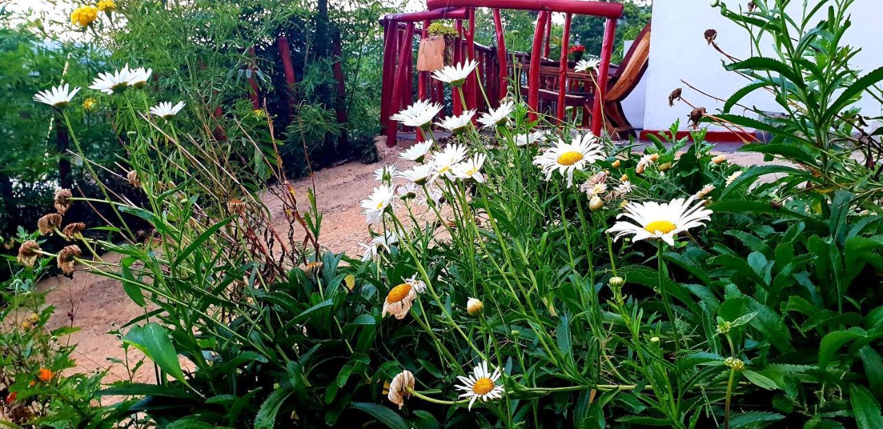 Bed and Breakfast Adannz Ella Zewnętrze zdjęcie